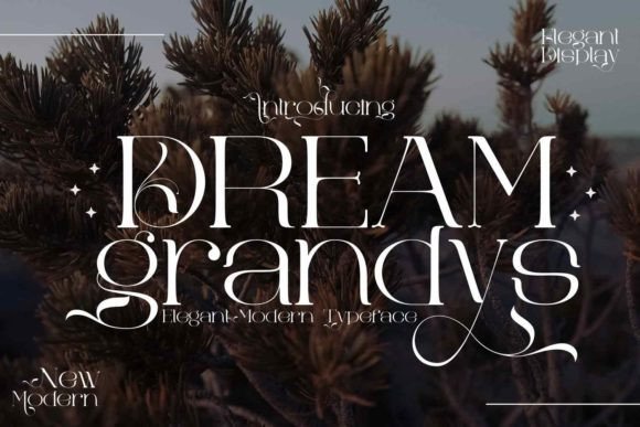 Dream Grandys: A Serif Font That Elevates Campaign Visuals