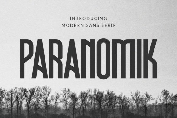 Paranomik: A Modern Sans Serif Font for Scroll-Stopping Brand Content