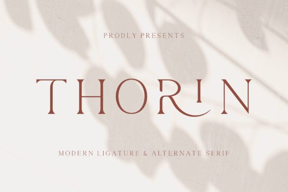 Thorin: A Serif Font That Breathes Quiet Confidence